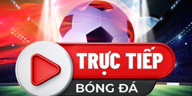 Trực tiếp bóng đá  i9bet với trải nghiệm 5 sao 