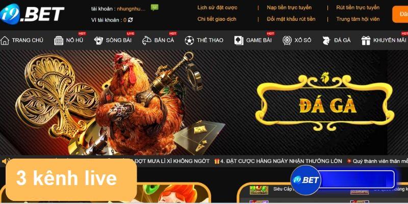 Top 3 các kênh live trực tiếp đá gà i9bet