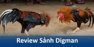 REVIEW SẢNH DIGMAN I9BET